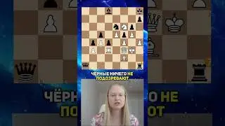Как Ласкер обманул соперника. Настоящие ловушки в шахматах