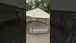 Bonk! 