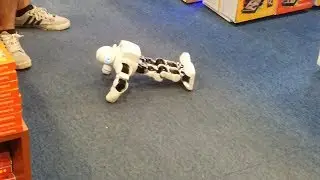 Şınav Çekip Kas Gösteren Robot