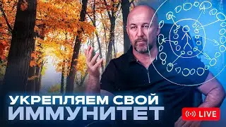 🔴 Здоровье в осенний период | Энергетическая Защита Организма