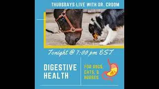 “Day Of” Thursday Live Chat