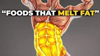 Lose Weight NOW - 10 Foods That Will GUARANTEE Fat Loss