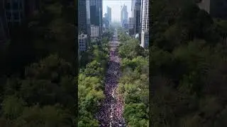 Documente la Marcha a favor del INE , que opinas ? #cdmx paseo de la reforma #marcha