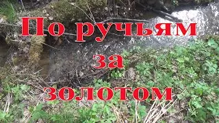 По ручьям за золотом.