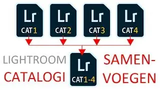 Lightroom Catalogi samenvoegen en zoeken