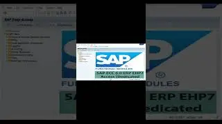 How to change SAP Font Size and Font Style #sap #sapmmtraining #sapfico #sappm #sapabap #sapjobs