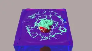 Chaos Phoenix 5 - Foam Patterns with B2B Interaction