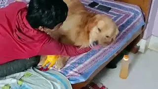 হঠাত সিম্বার কি হলো । এত ছটফট করছে কেনো ।
