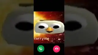 питухи