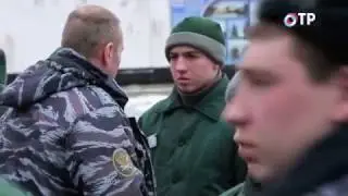 Как научиться жить по закону