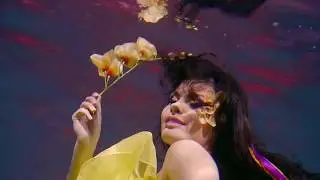 showreel underwater Ocean Stars