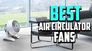 Top 10 Best Air Circulator Fans in 2025 Reviews