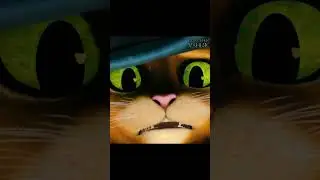 Свист Волка 🐺 / 