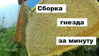 Окончательная сборка гнёзд и отбор мёда.
