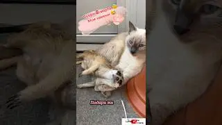 Девочки, пора! 