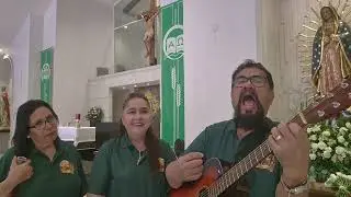 Festive Hallelujah