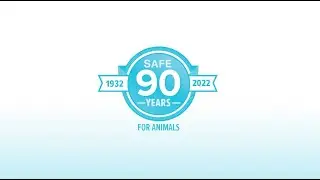 SAFE year in review - Celebrating 90 years