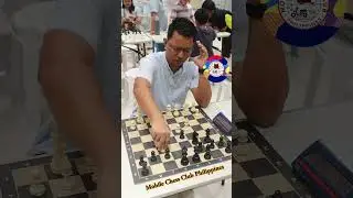 Learn the Evans Gambit and Win More Games Today! #winningdrink  #chess  #mccp