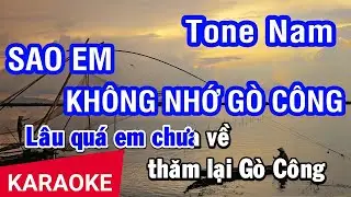 Karaoke Sao Em Không Nhớ Gò Công Tone Nam | Hà Quang Lâm | Nhan KTV