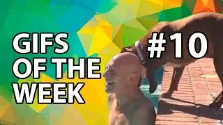 Gifs of the week #10