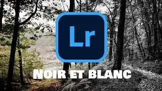 Séance de traitement noir et blanc des photographies au lac de Guerlédan.