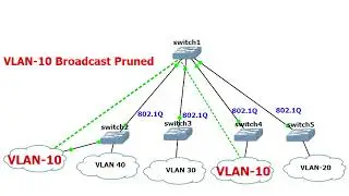 What does the Cisco vtp pruning command do?