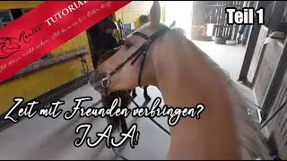 Abenteuer! Lasst uns zusammen Ausreiten Teil1 // Reitertutorials
