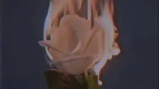 Cutting Crew - I Just Died in Your Arms (Slowed to Perfection)