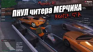 Пнул печеньку а это оказался МЕРЧИК читер MAJESTIC RP GTA5