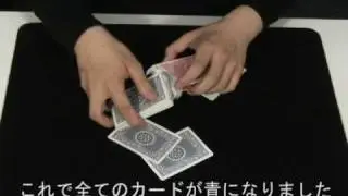 パープレックス