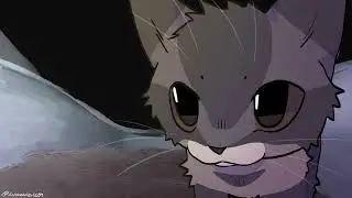 chipi chipi chapa chapa