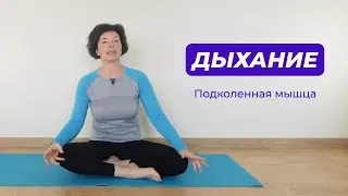 Дыхание. Подколенная мышца