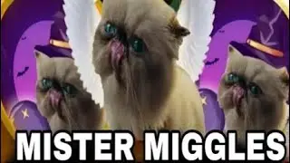 🚀MISTER MIGGLES TOKEN NEXT 5000X COIN🚀