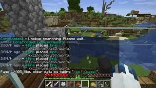 Find out who caused a fire with CoreProtect in Minecraft
