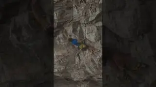 Adam Ondra seems to be getting closer to sending the Project BIG  🔥