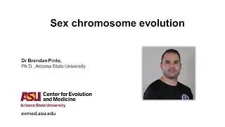 Dr Brendan Pinto - Sex chromosome evolution