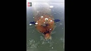बर्फ के अंदर मिली सबसे अजीब चीजे | 😲😲| 