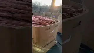 What’s in the yard? 