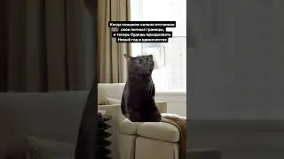 не борщите😁😘