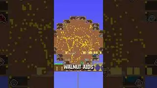 Calamity Death Mode The Song