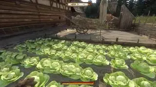 Kingdom Come: Deliverance - Травничество или наш друг - крапива. (+2 к живучести)