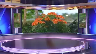 Free TV Set Green Screen, 3D News Studio Background 4K