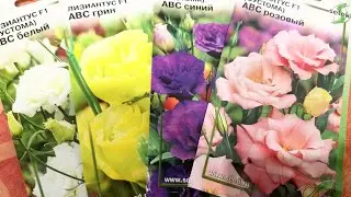 🌹"Эустома" посев,всхожесть, подкормка.