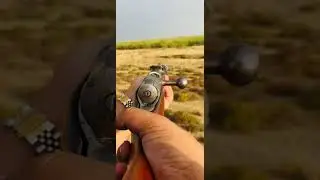 Carbine #viral