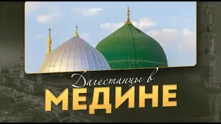 ДАГЕСТАНЦЫ В МЕДИНЕ / ХАДЖ 2024