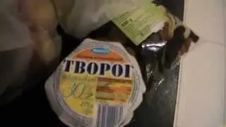 VLOG: День с нами)