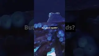 5 Creepy Marine Myths Debunked! 🌊🐙