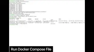 Install PiHole In Docker (2022)