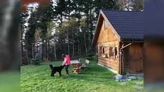 Zen place, Magic location in Poland Mountains Parąbka 🦌 “Osada Jelonki” 🎶 Feeling Fine Uncleboris