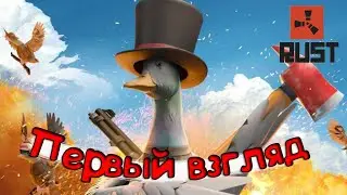 DUCKSIDE первый взгляд на гусиный раст